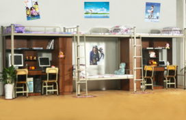 連發(fā)科教組合公寓床g014圖片,連發(fā)科教組合公寓床g014高清圖片 東莞市連發(fā)科教辦公設(shè)備廠,